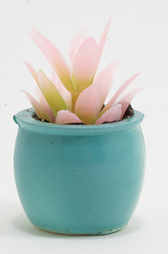 Pink Plant in Turquoise Pot